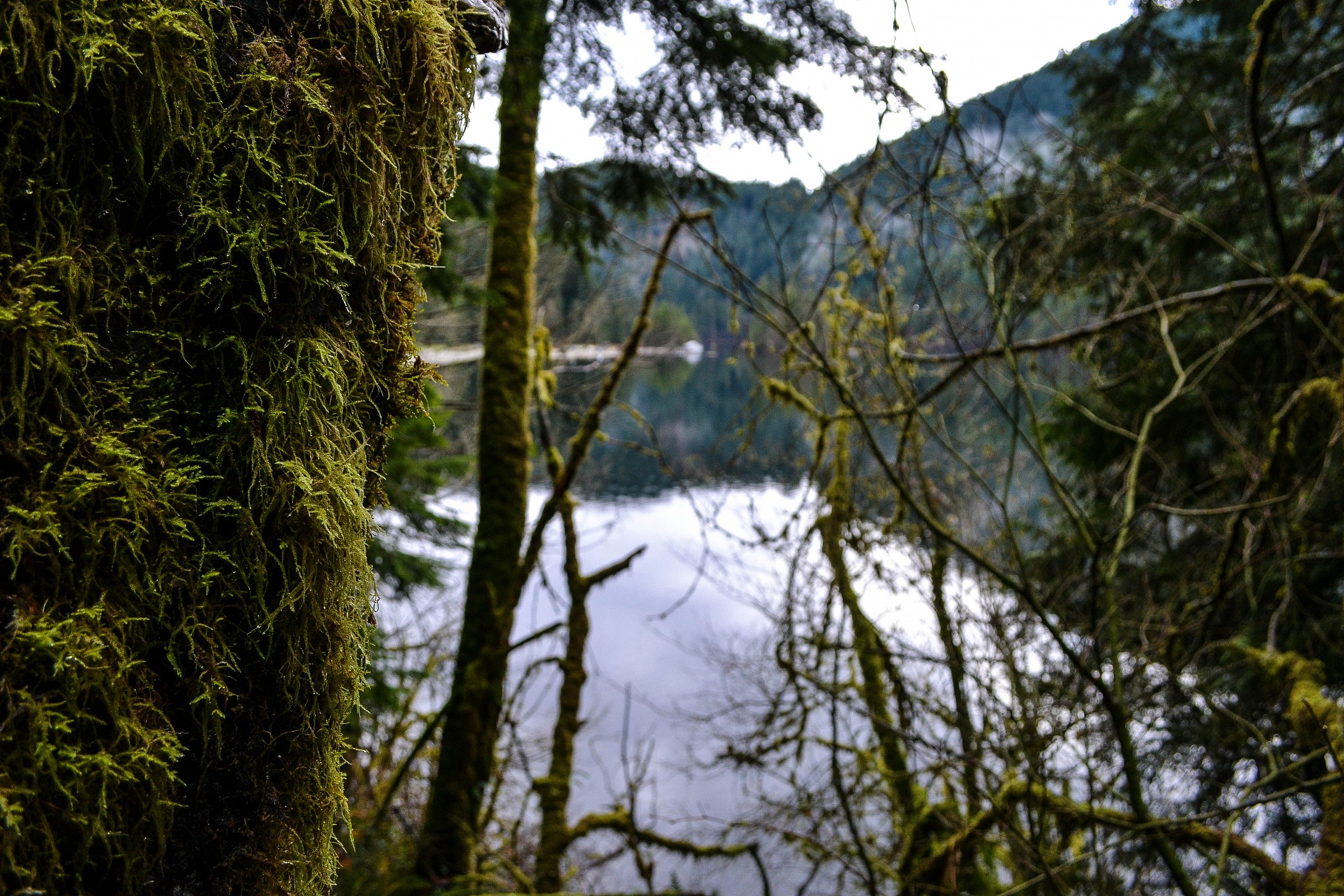 Buntzen lake BC