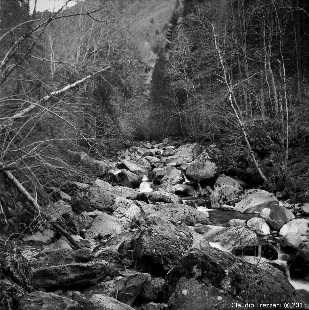 a Rolleiflex for a torrent