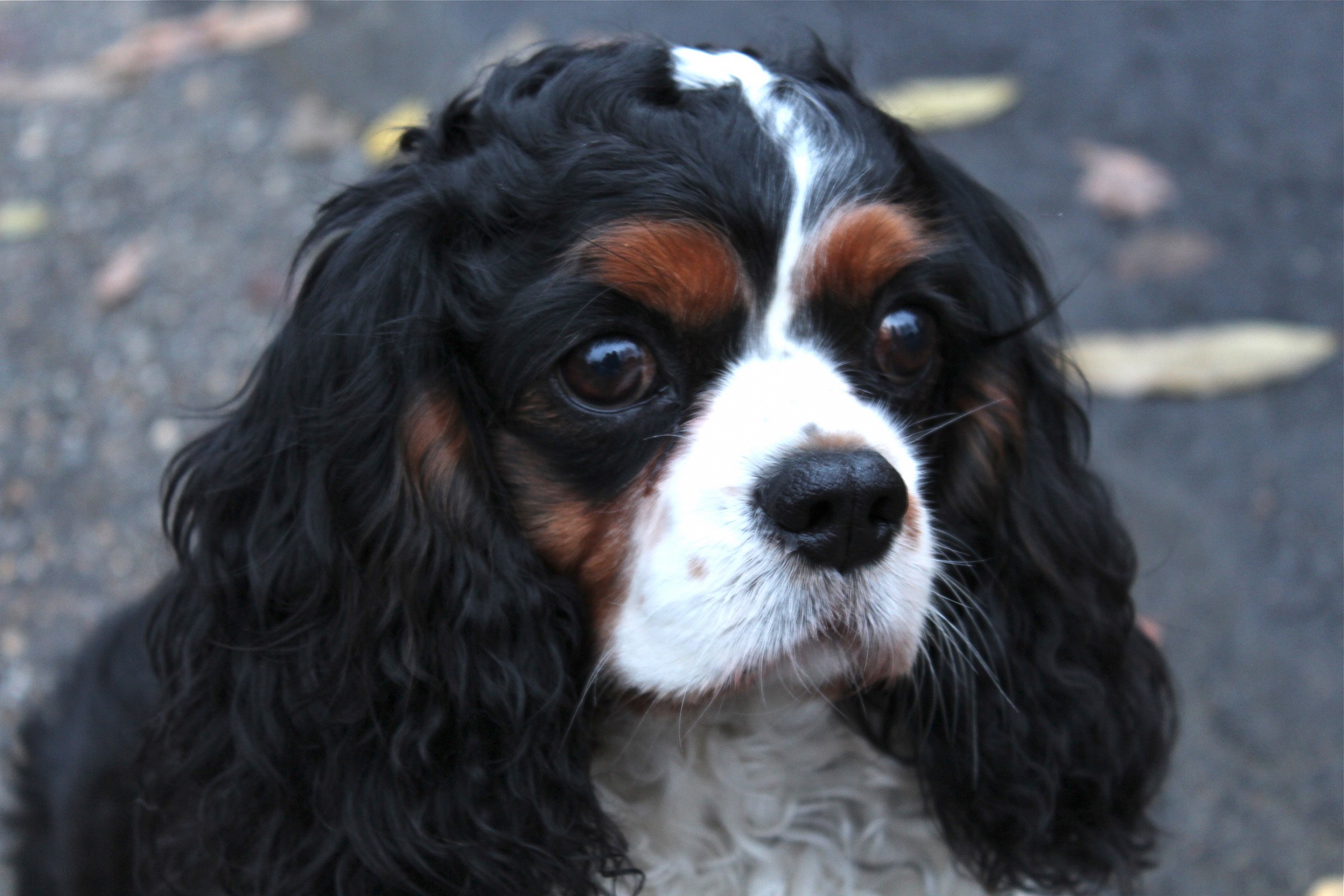 Communicate with his eyes