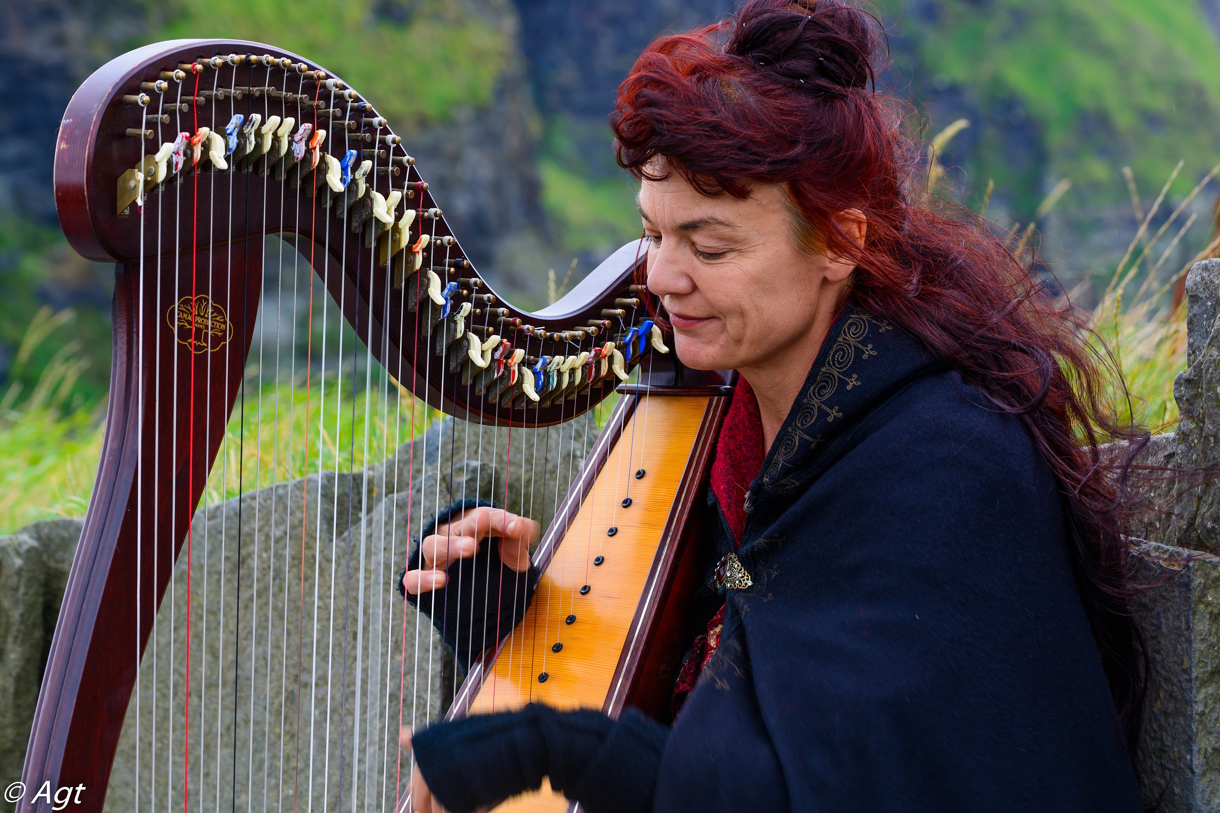 Musician and his Celtic harp
