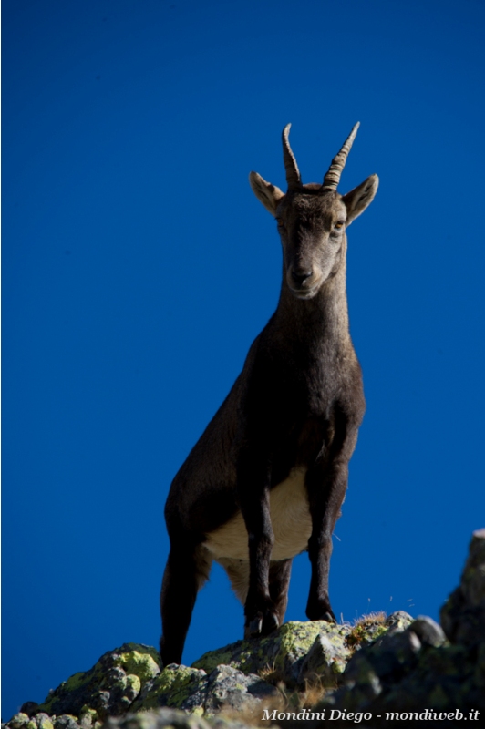 Valmbrembana 31 ottobre 2011