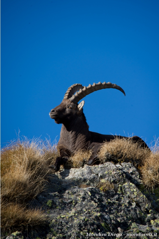 Valmbrembana 31 ottobre 2011