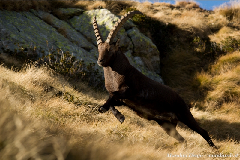 Valmbrembana 31 ottobre 2011