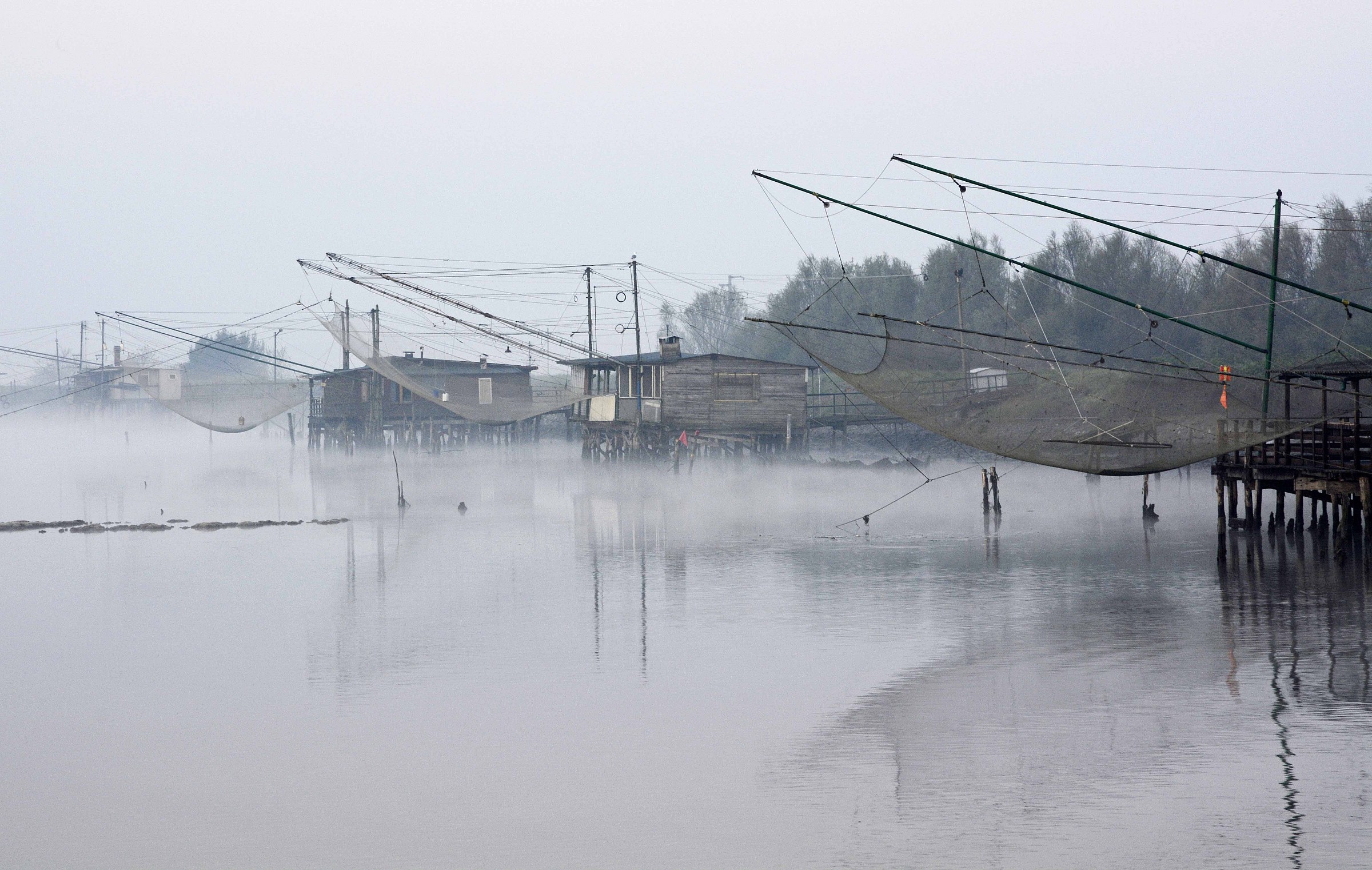 Misty dawn in the Valley