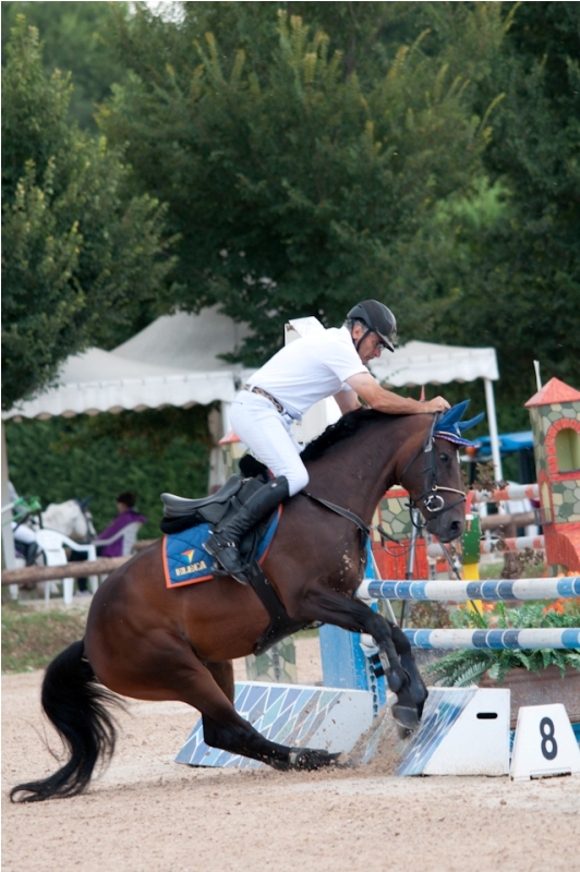 Concorso Ippico Manerbio