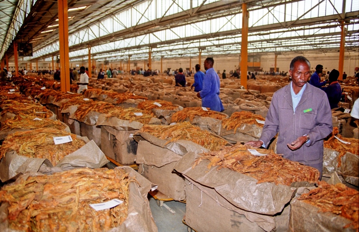 lo smistamento del tabacco