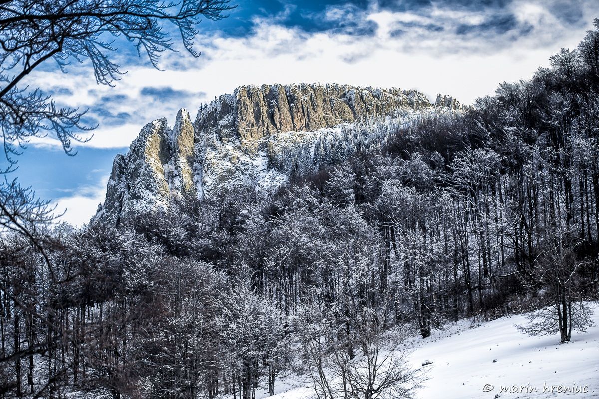 La cresta del gallo Maramures