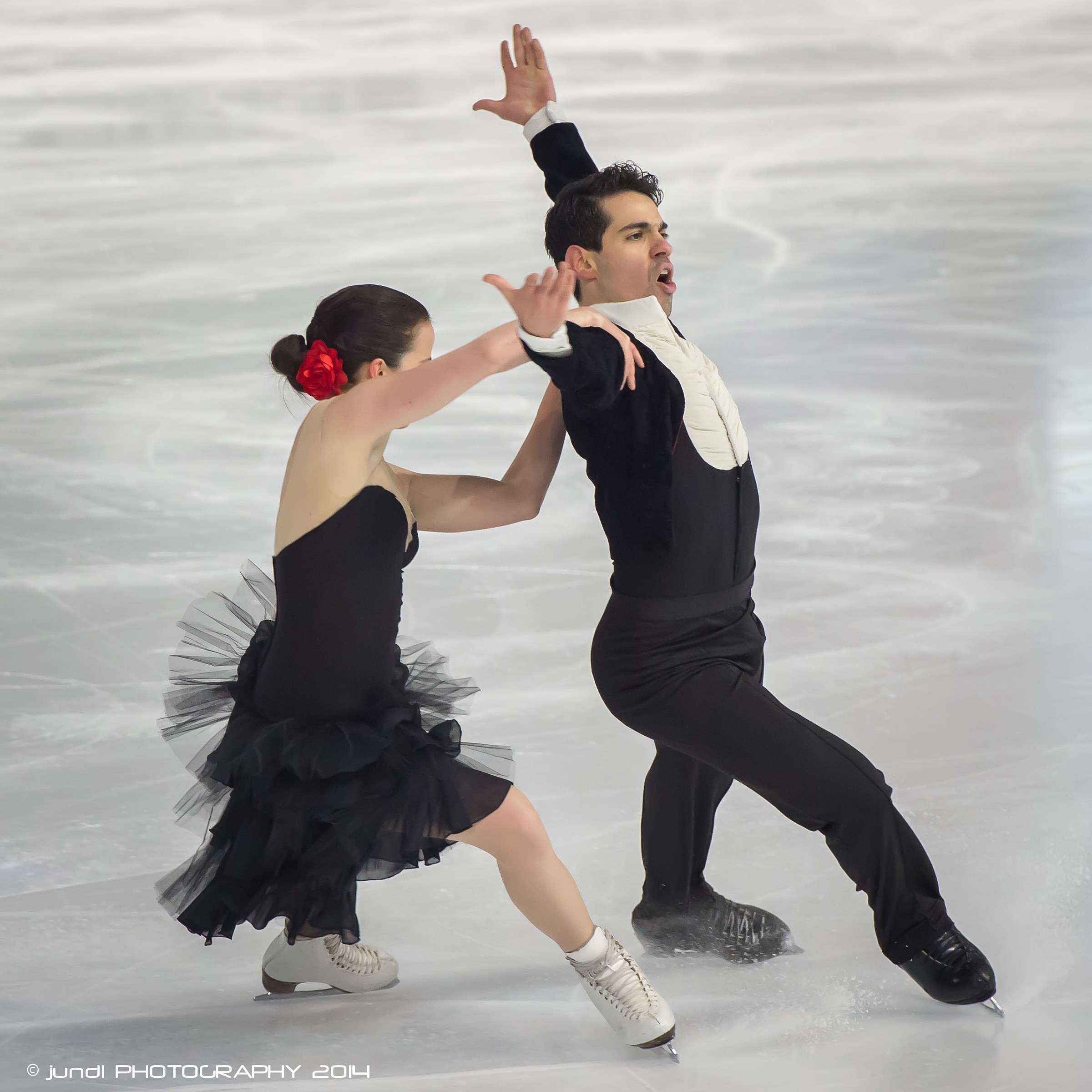 Italian Figure Skating Championship 2014