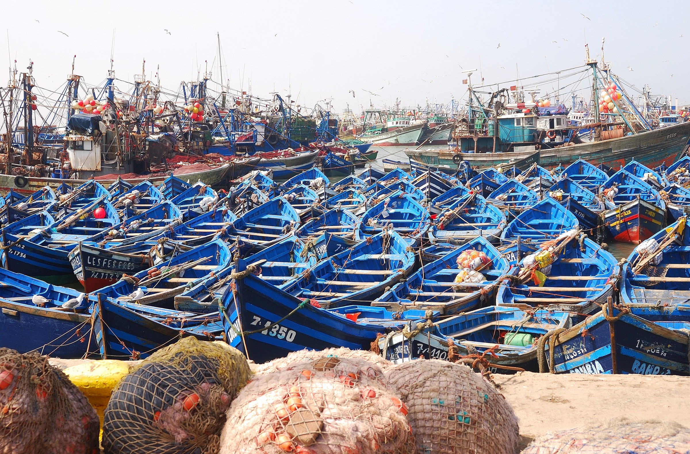 The port of Essaouira