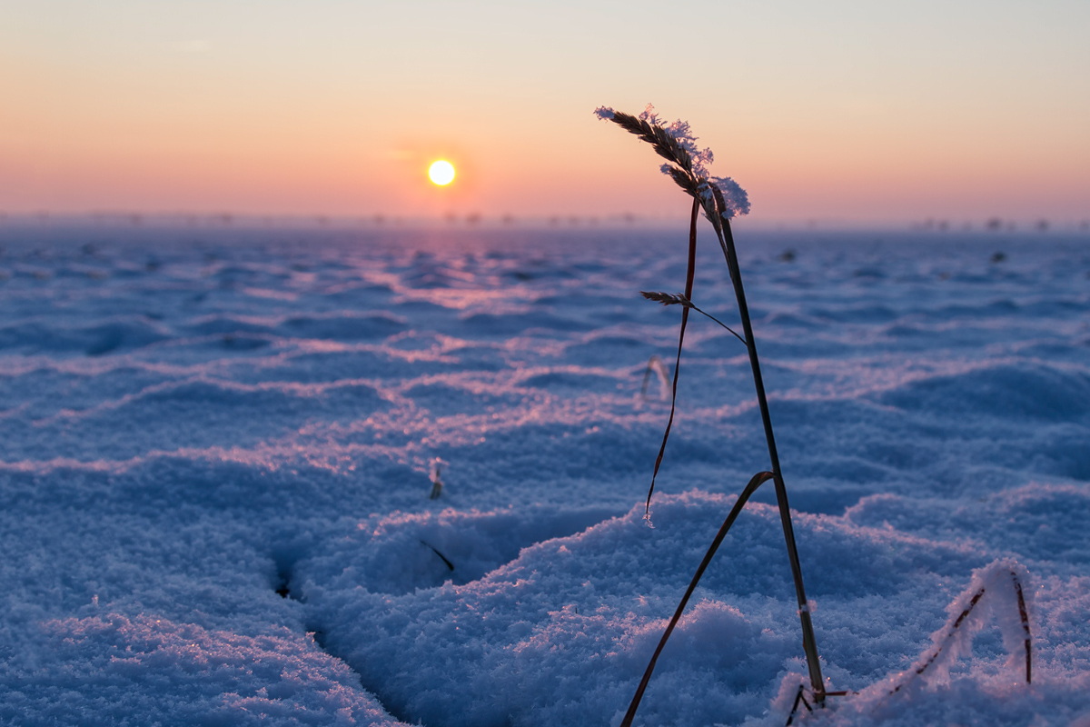 Sunrise from a low point of view