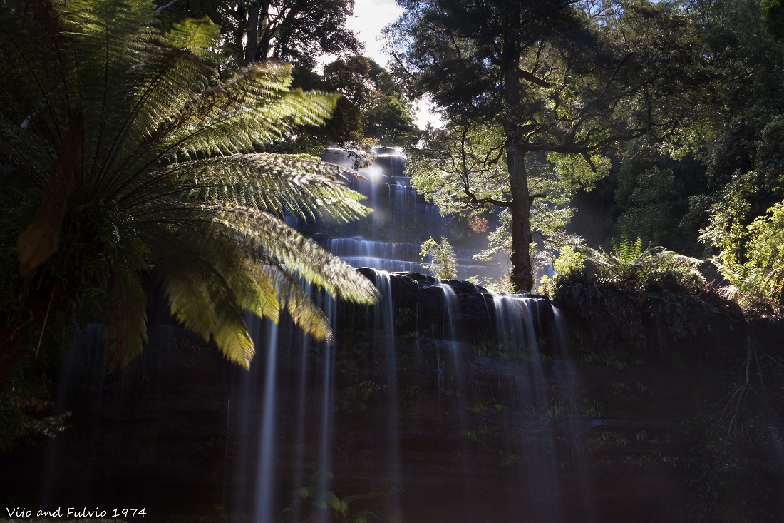 Russel Falls Tasmania