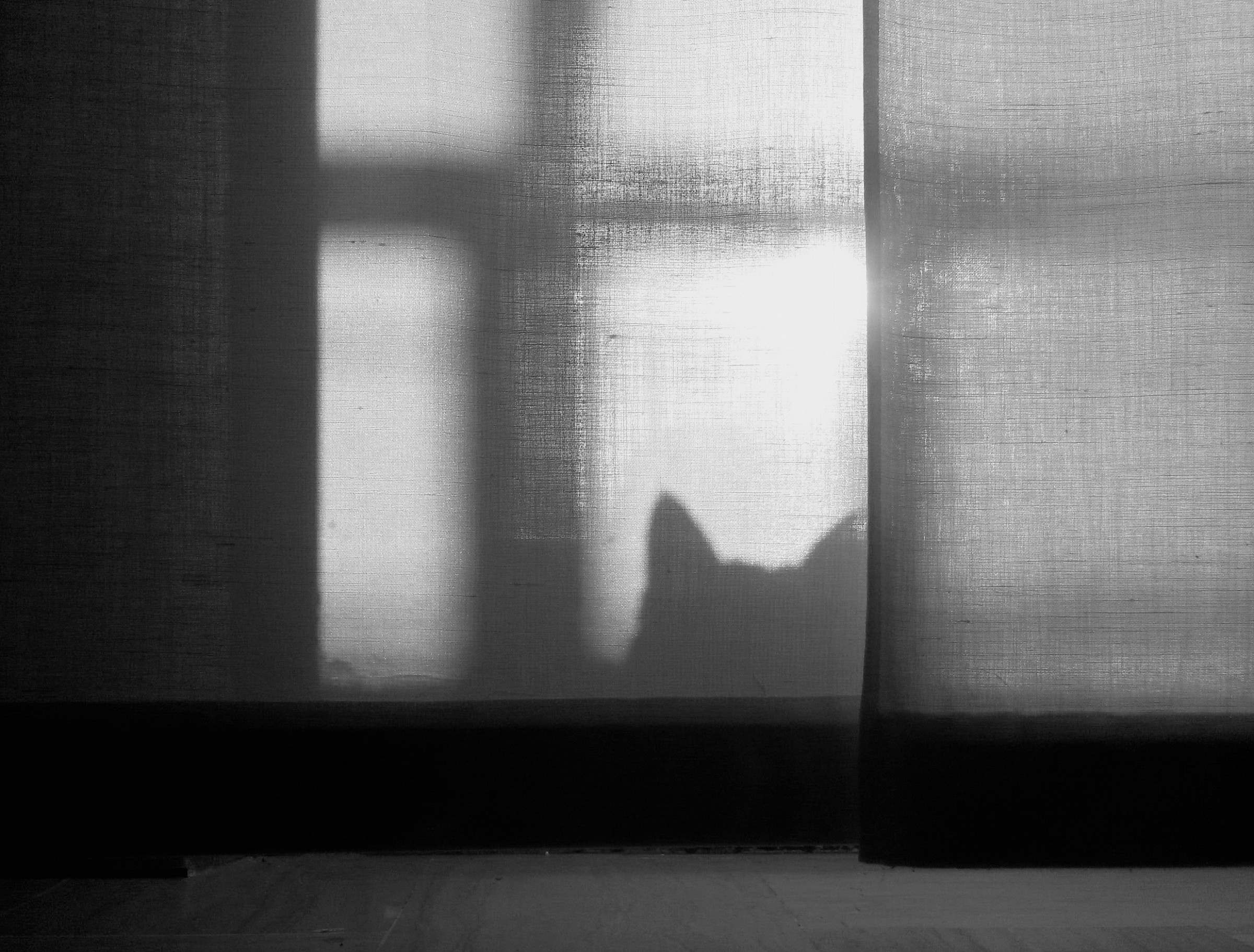 Who's behind the window?