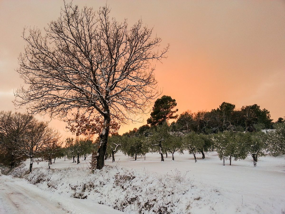 New Year red white and green