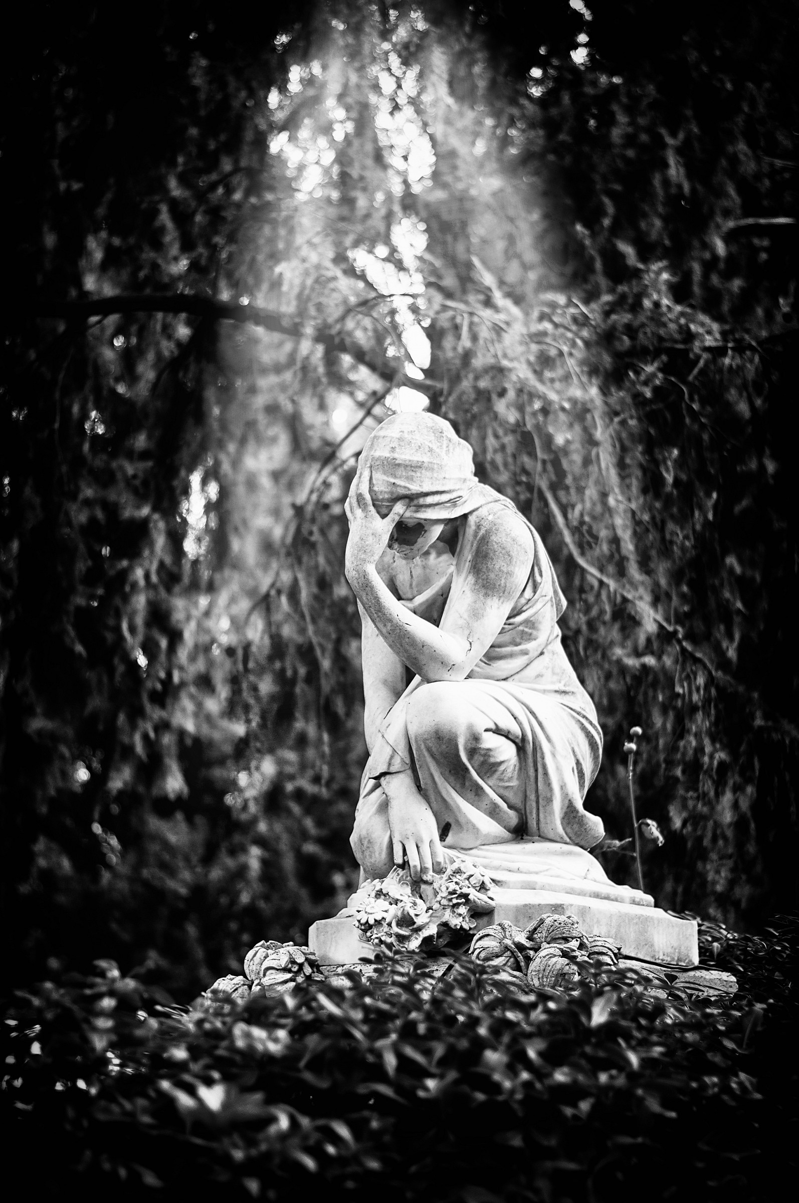 The sadness petrifies