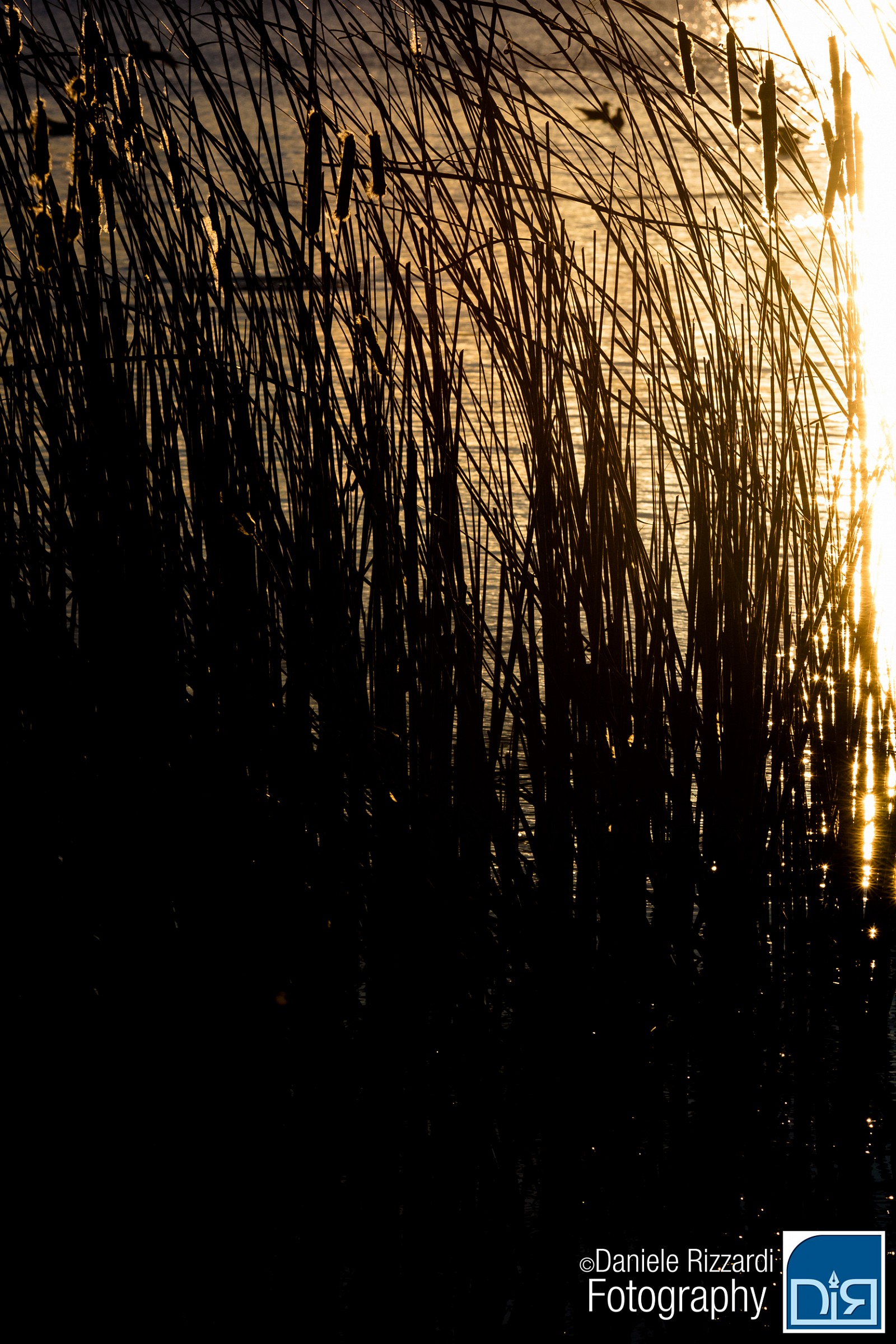 Tramonto sul lago di Varese