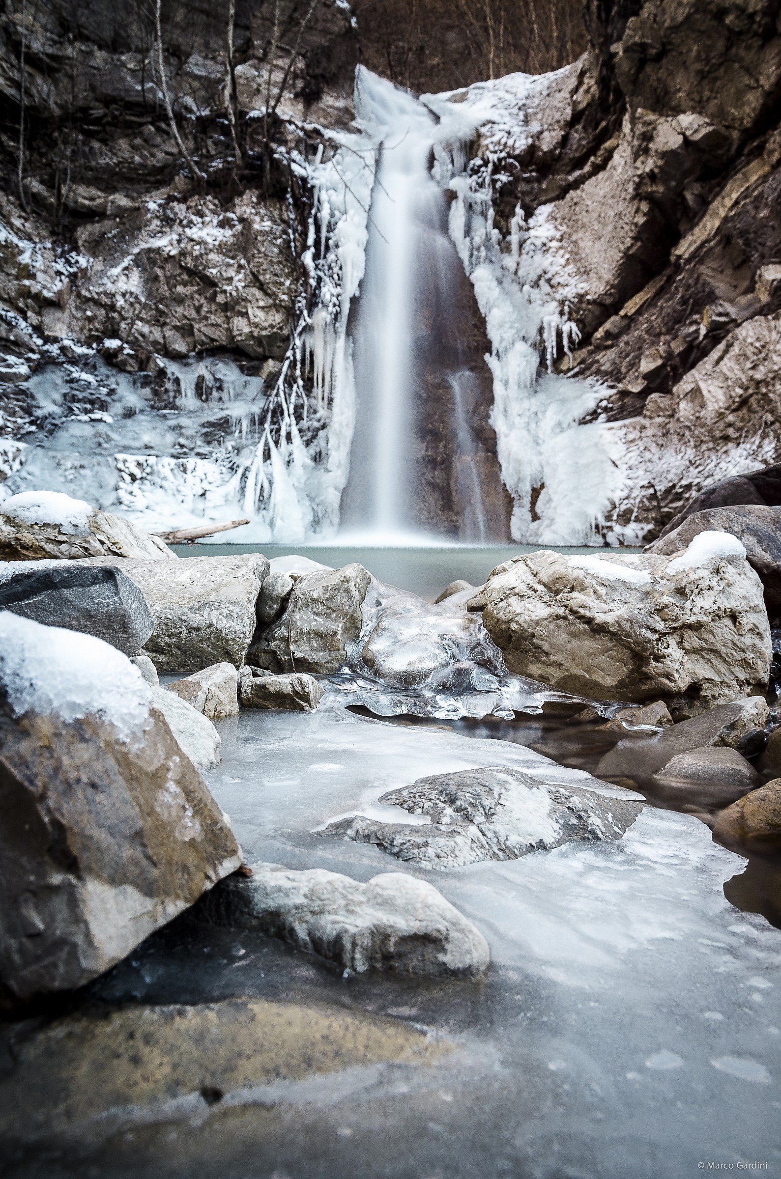 Niagara Perino Winter Edition