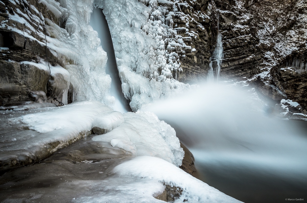 Niagara Perino Winter Edition