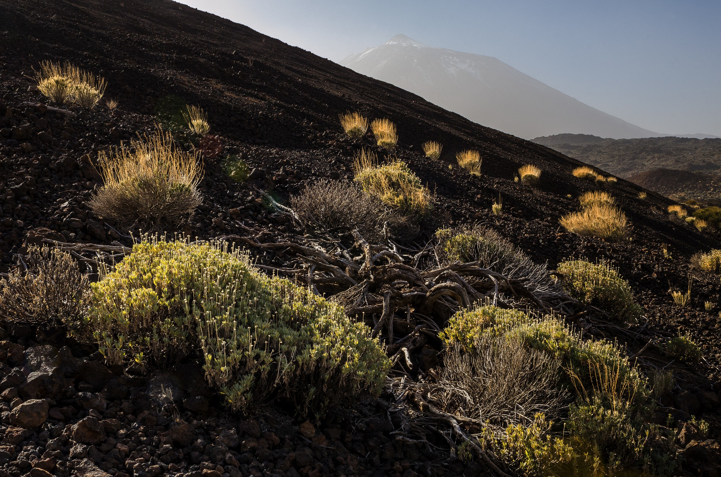 Passeggiando per la Teide