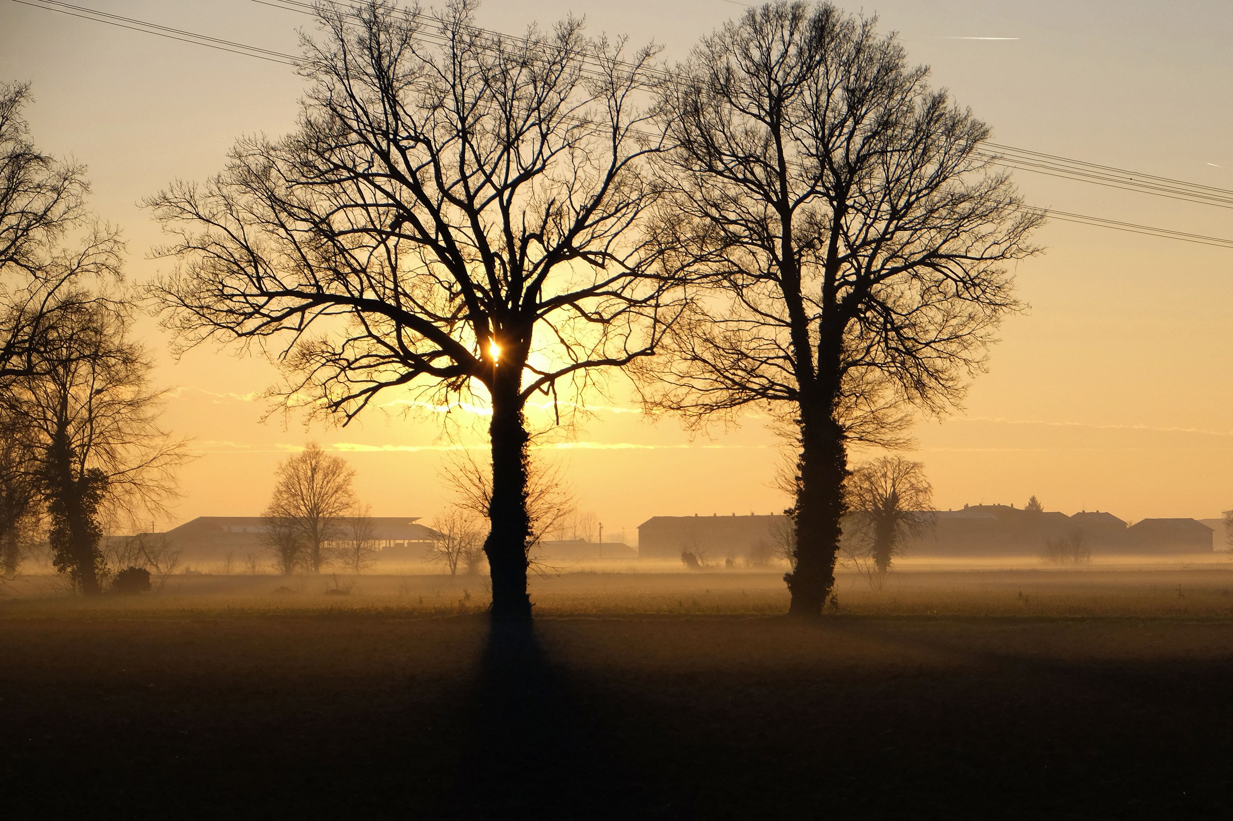 Cremona countryside winter