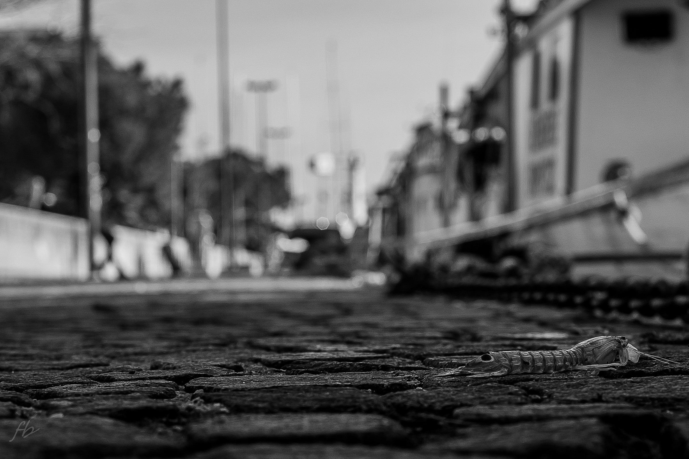 attraversamento pedonale