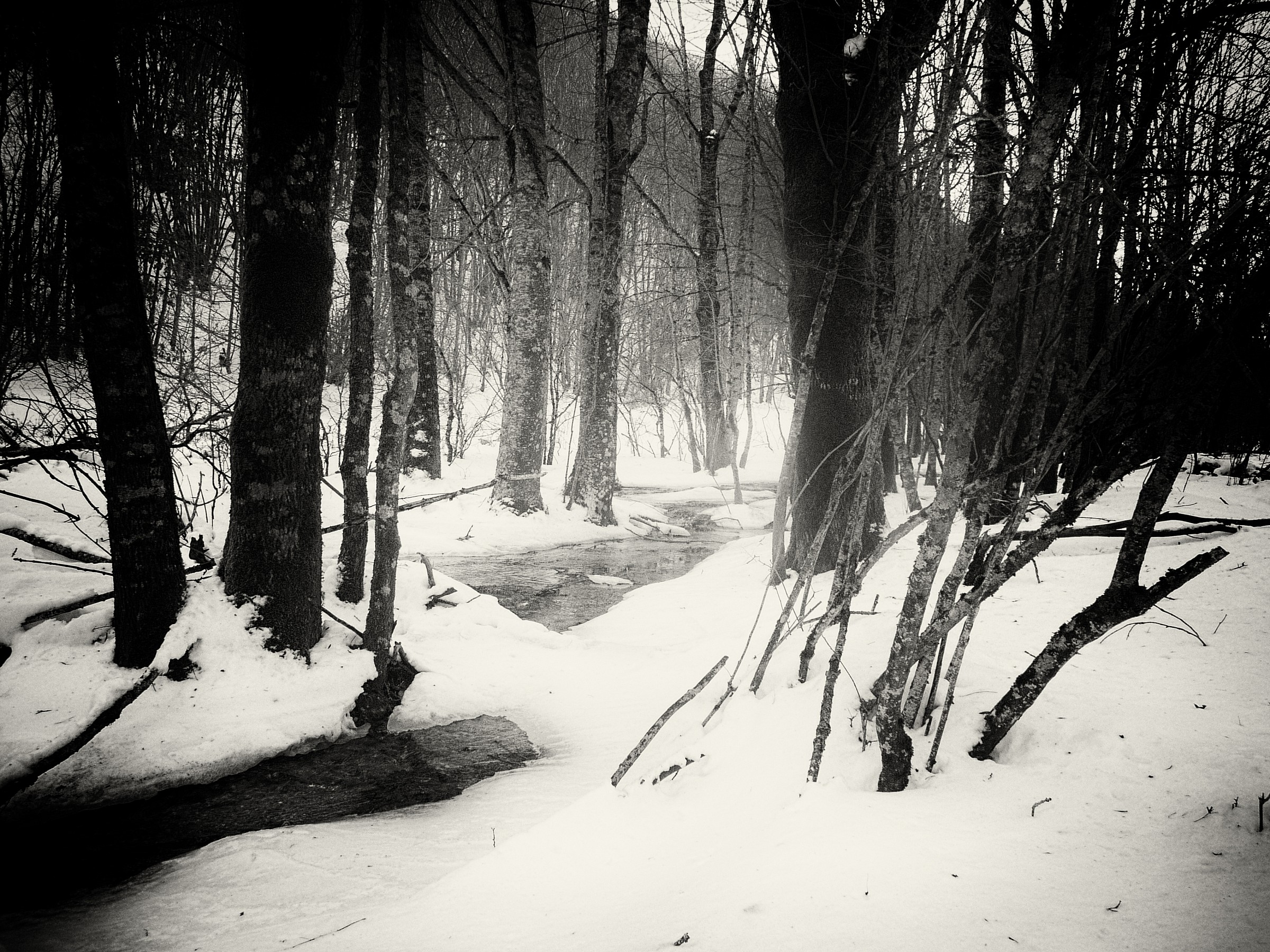National Park of Gran Sasso
