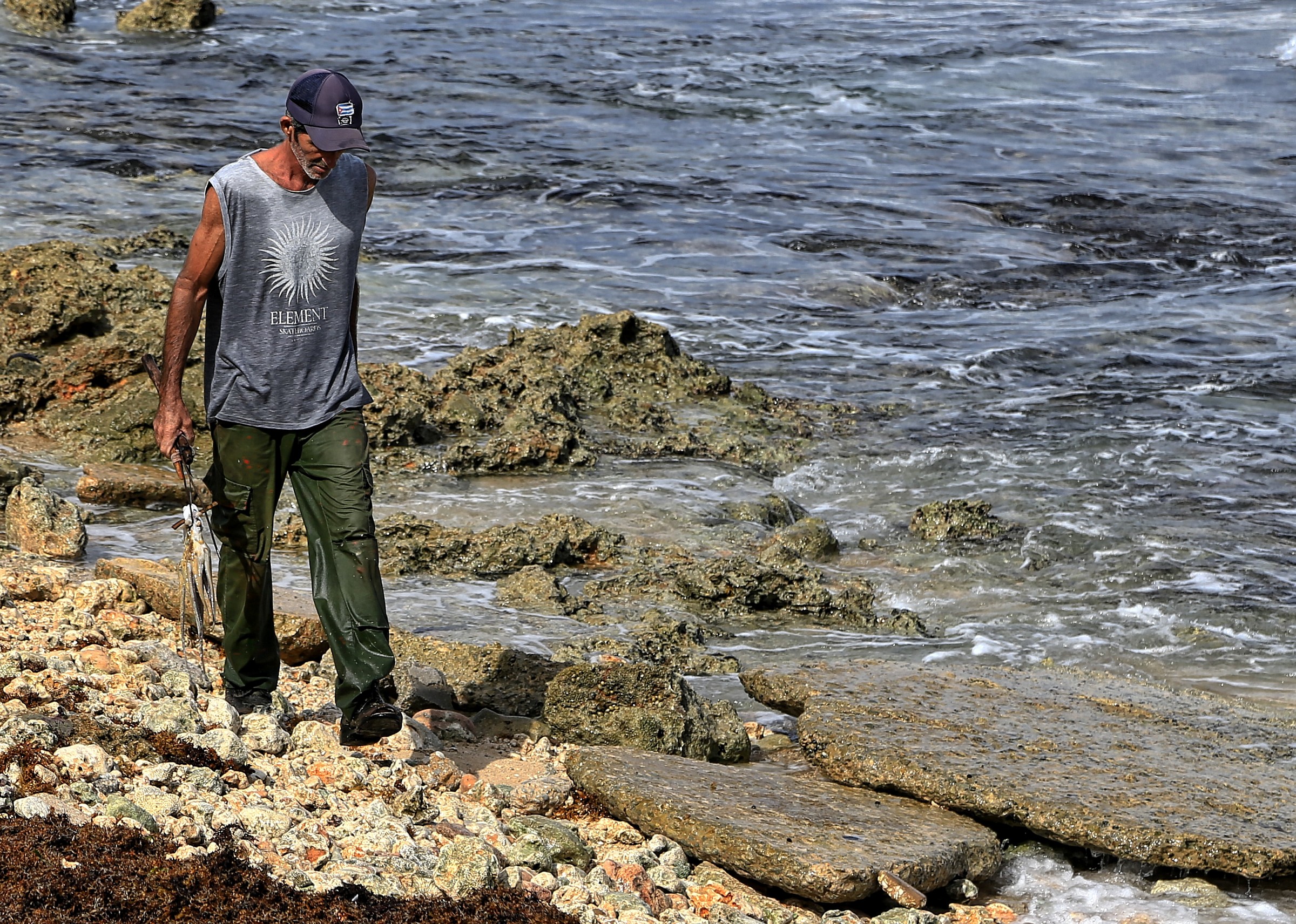 il pescatore di polipi