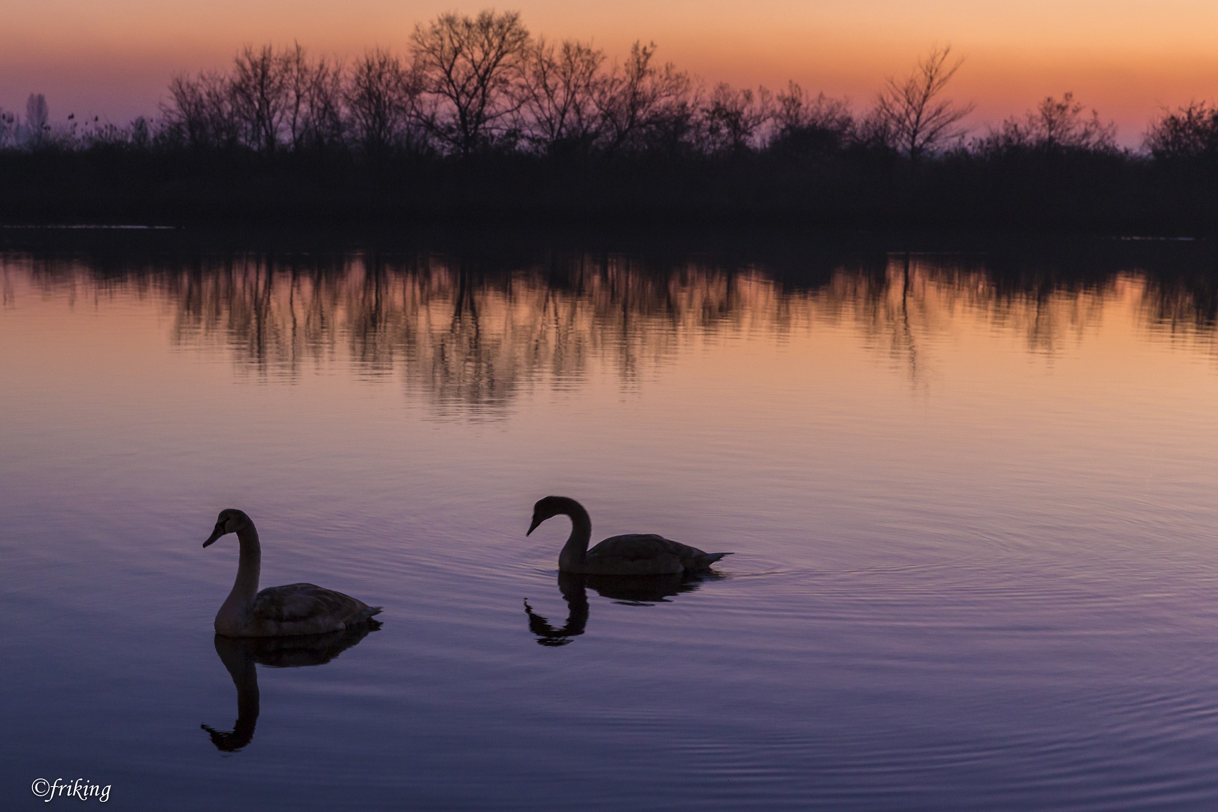 Sunset Valley Cavanata