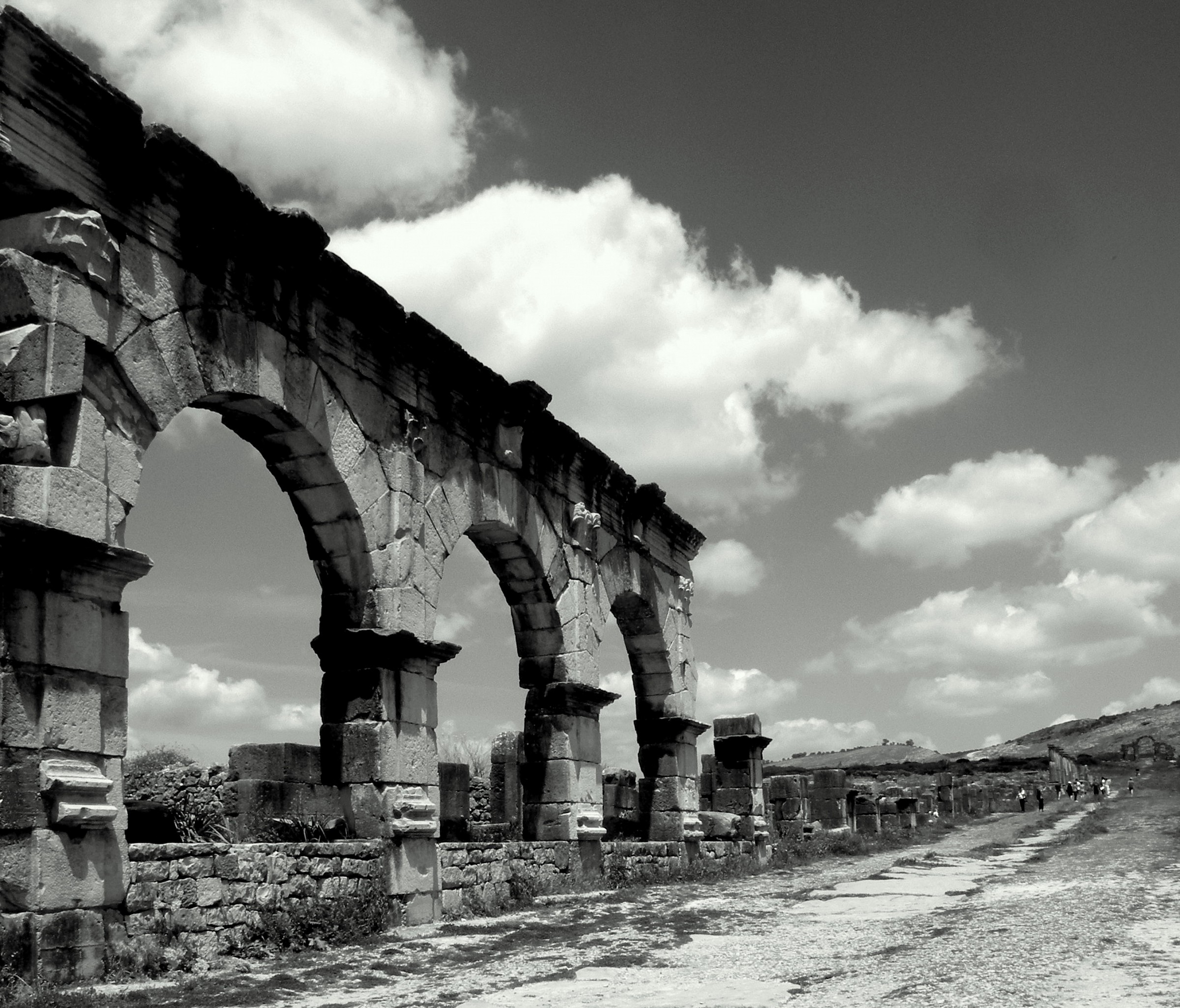 Glimpse of Volubilis (Morocco)