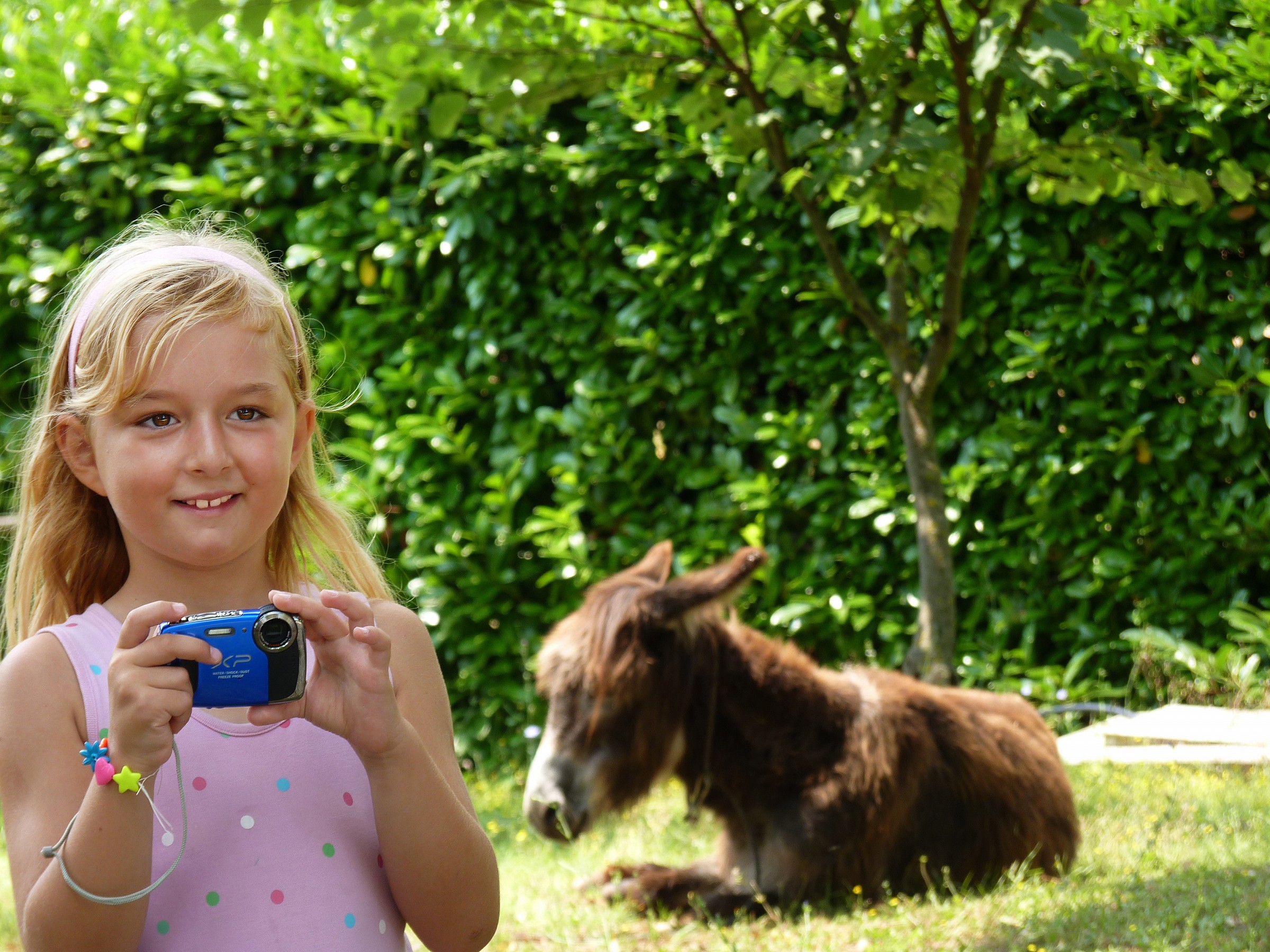 La bella e la bestia