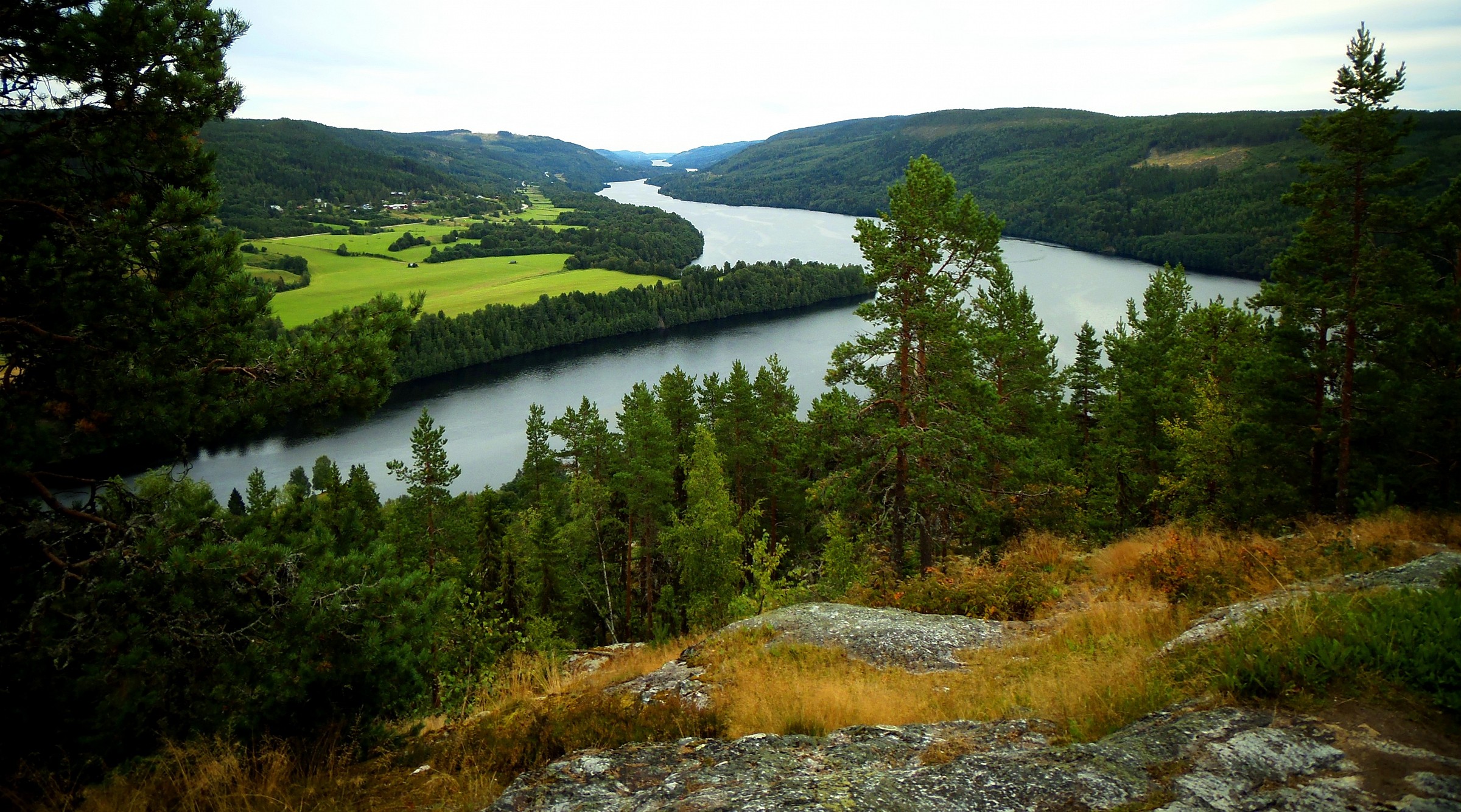 summer landscape Swedish