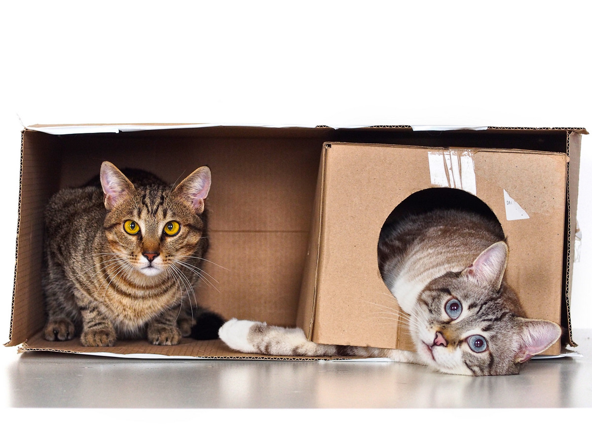 Two hearts and a hut