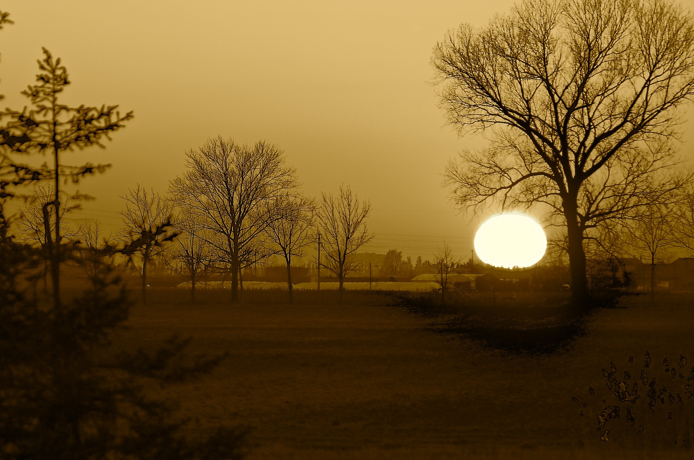 tramonto  vicino  a Caorle