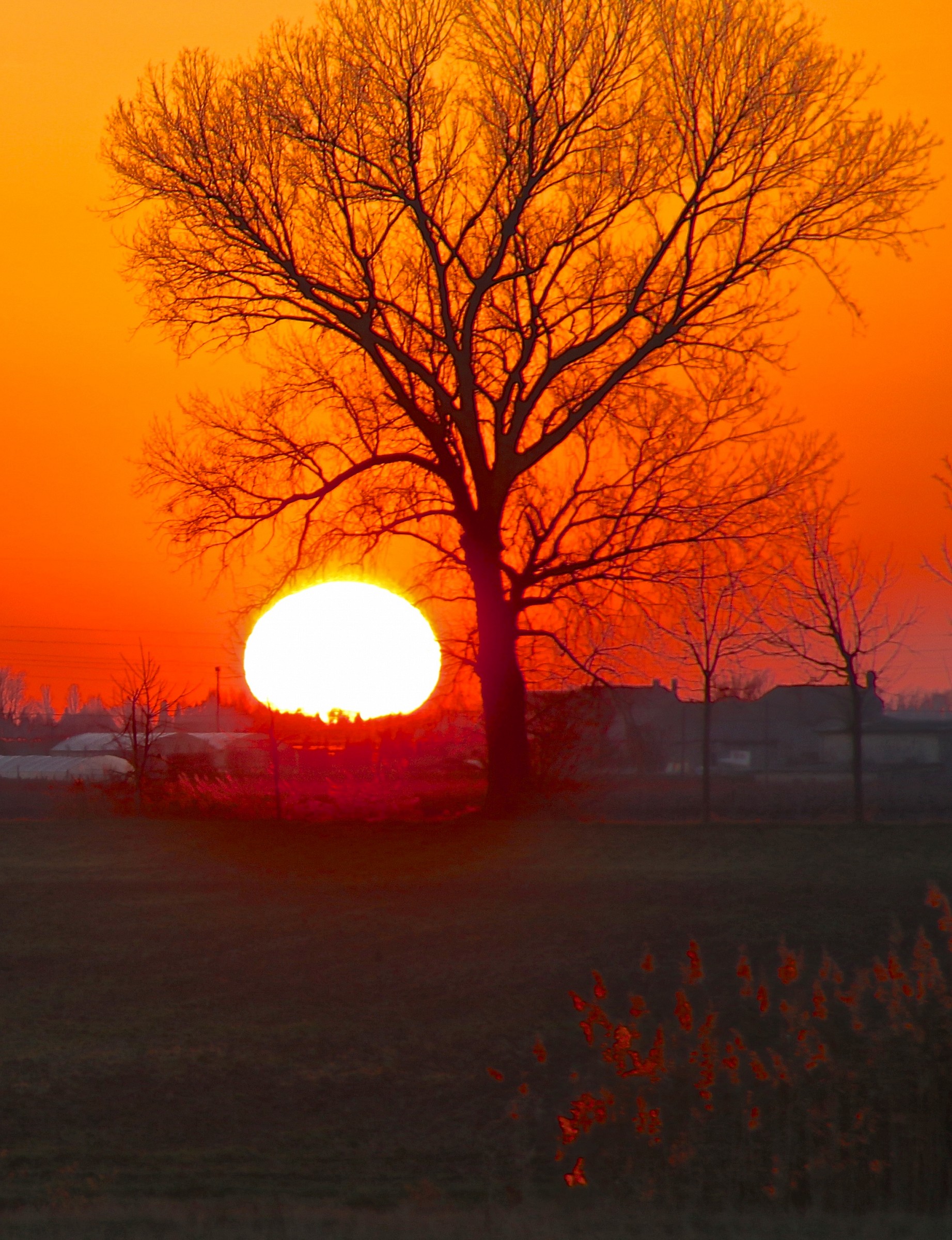 tramonto 2 ( Caorle)