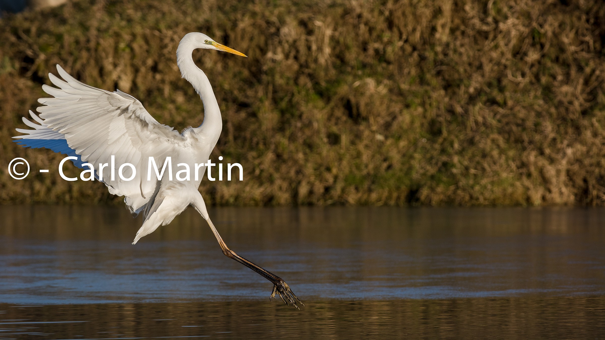 Atterraggio perfetto!