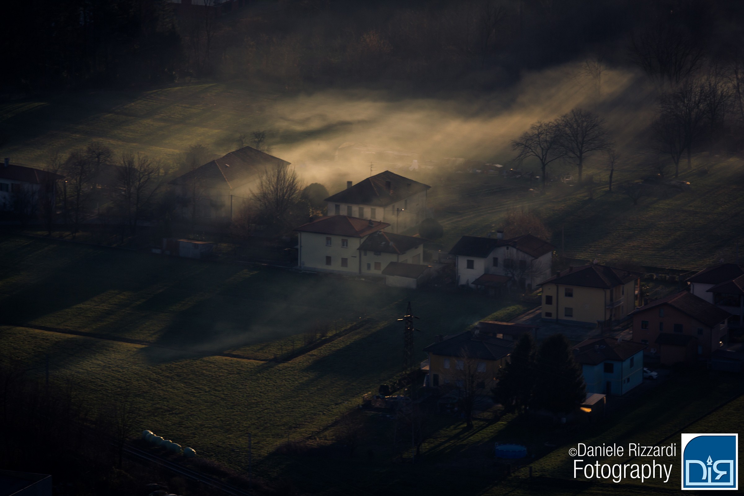 Nebbia tra gli alberi