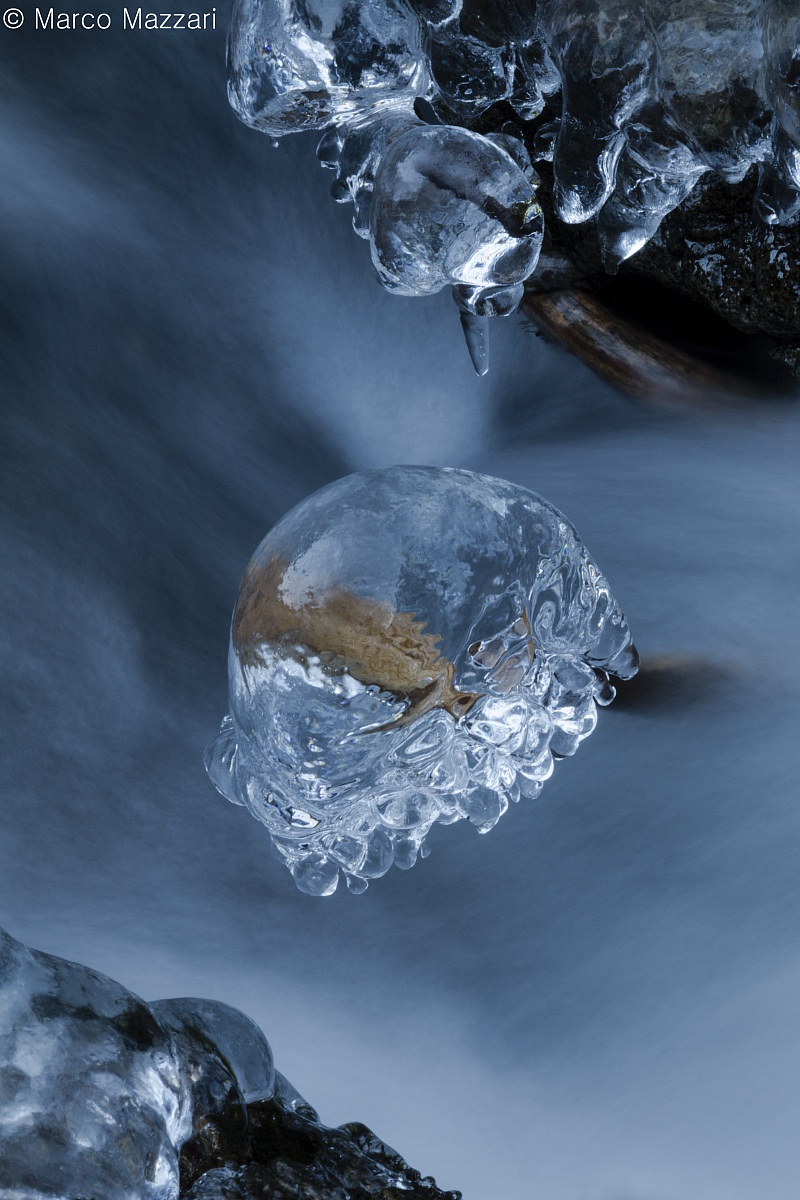 The Leaf and the ice