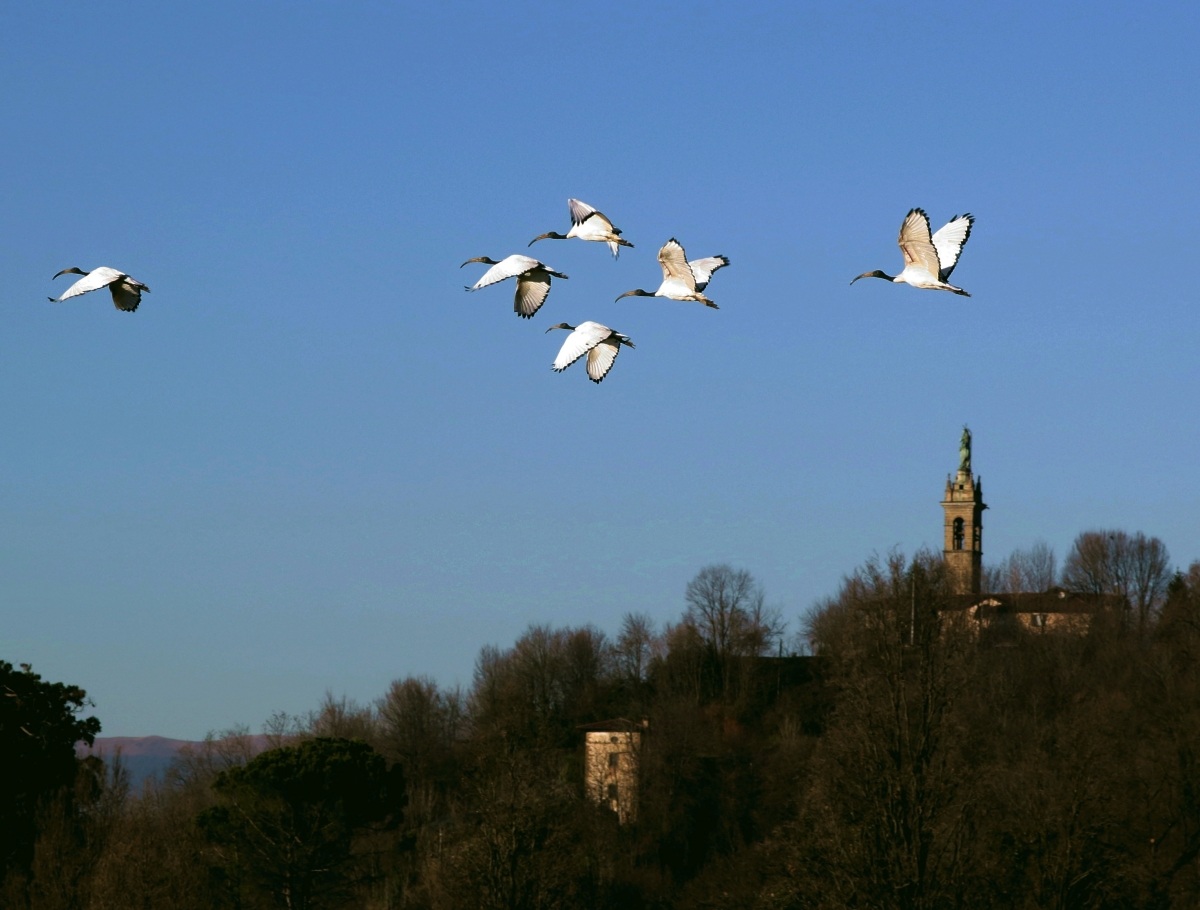 incontri in bicicletta