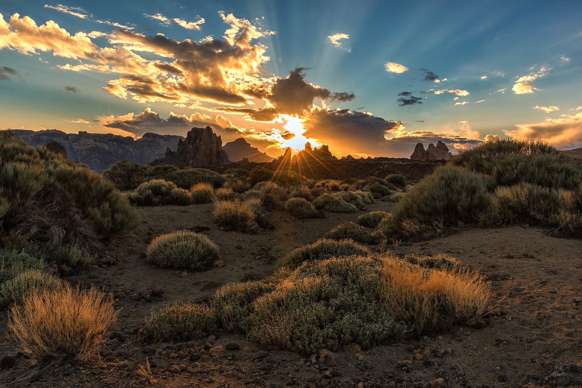 Passeggiando per la Teide
