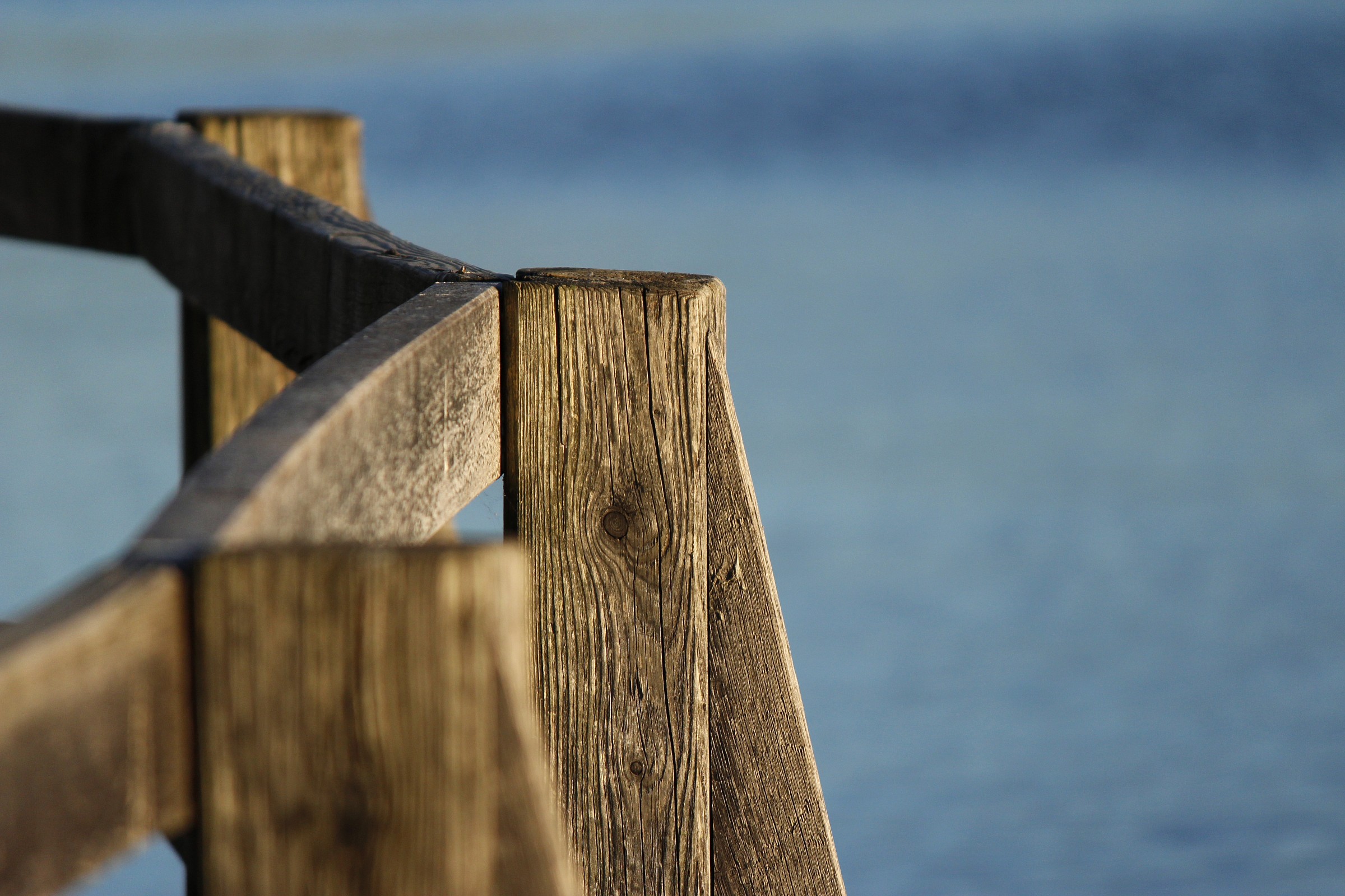 Scorcio  di  qualcosa :-)