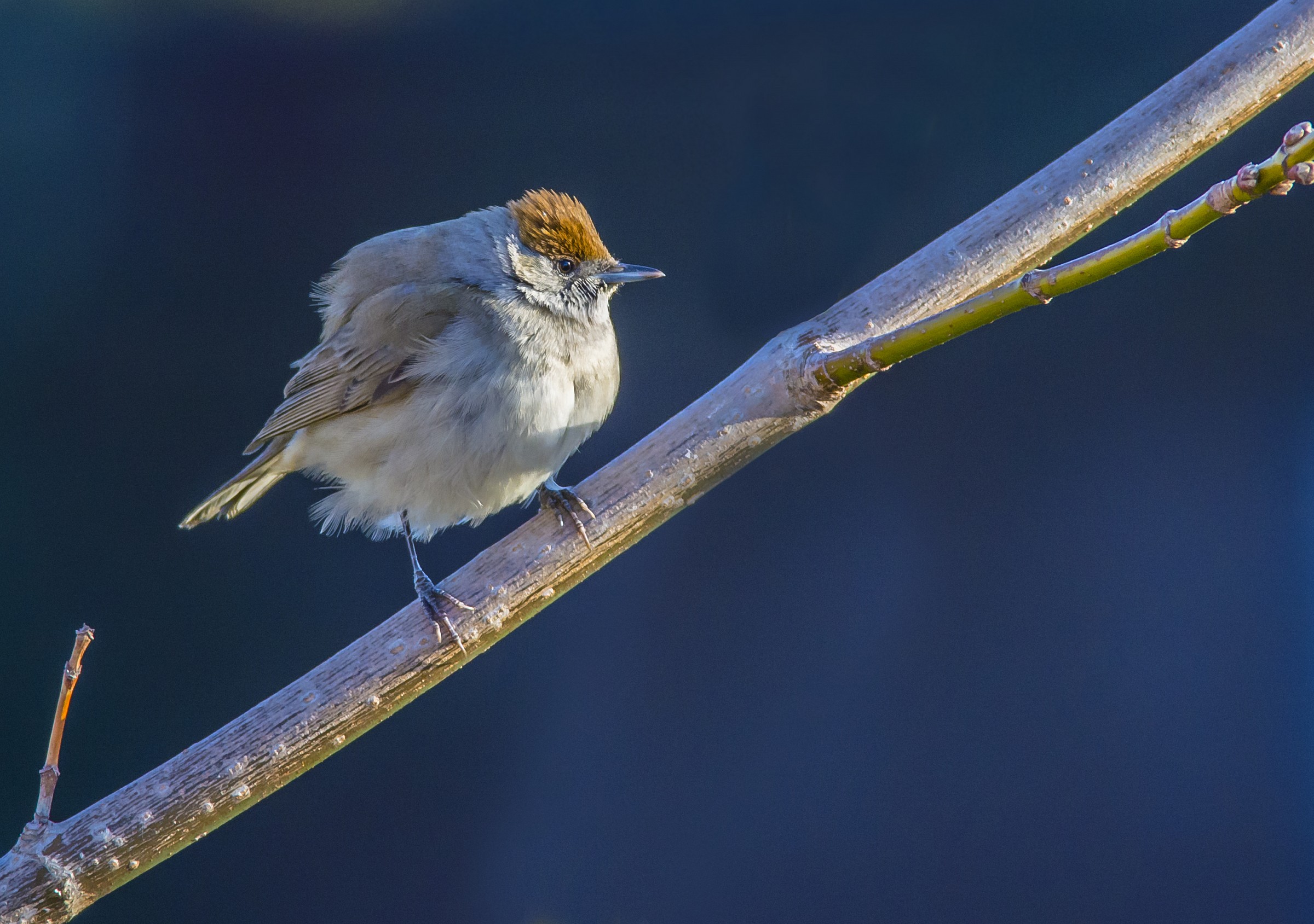 Ai primi raggi di sole