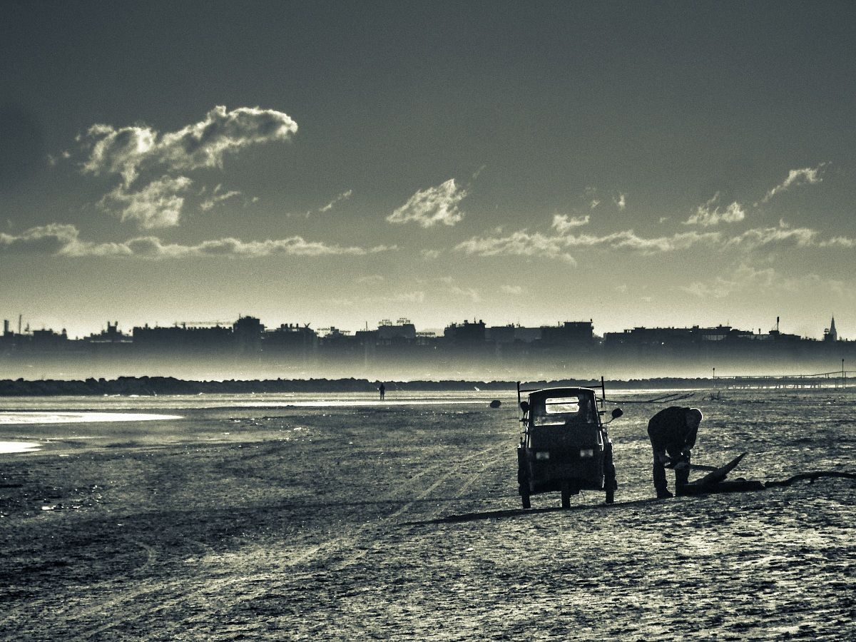 Fare legna sulla spiaggia