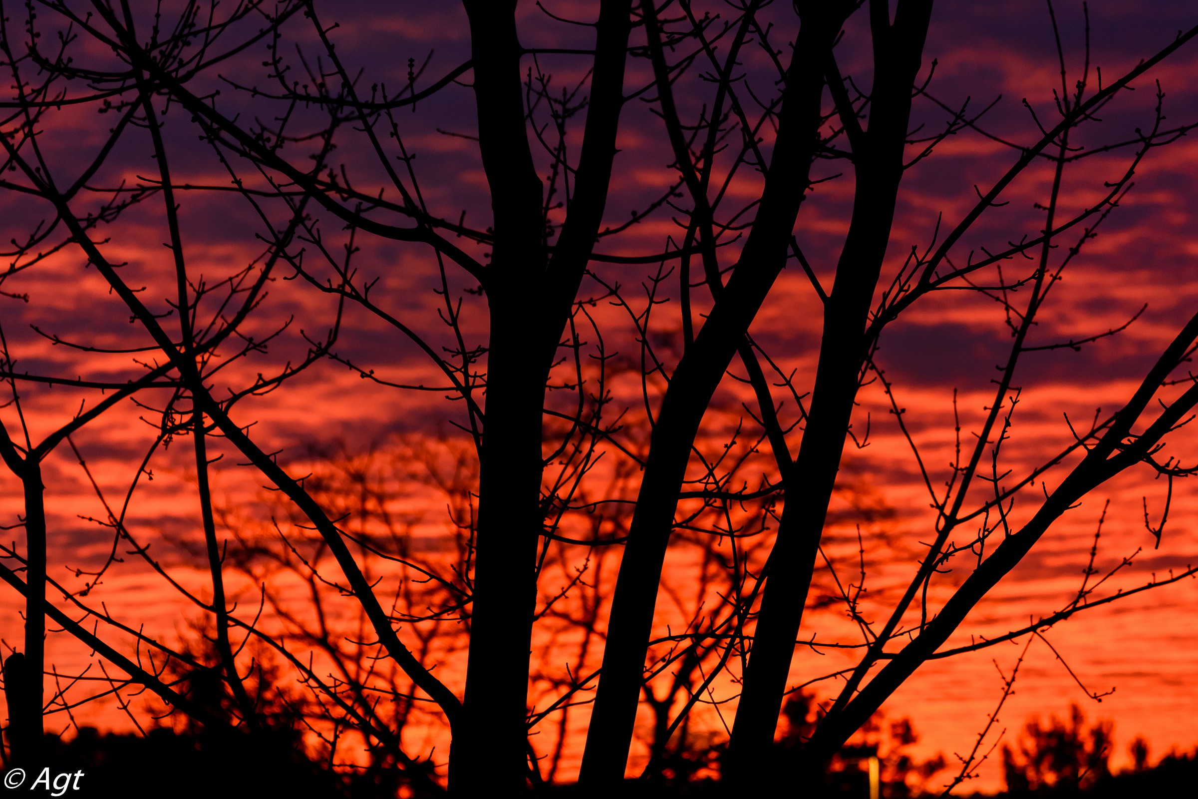 tramonto di inizio anno atto secondo