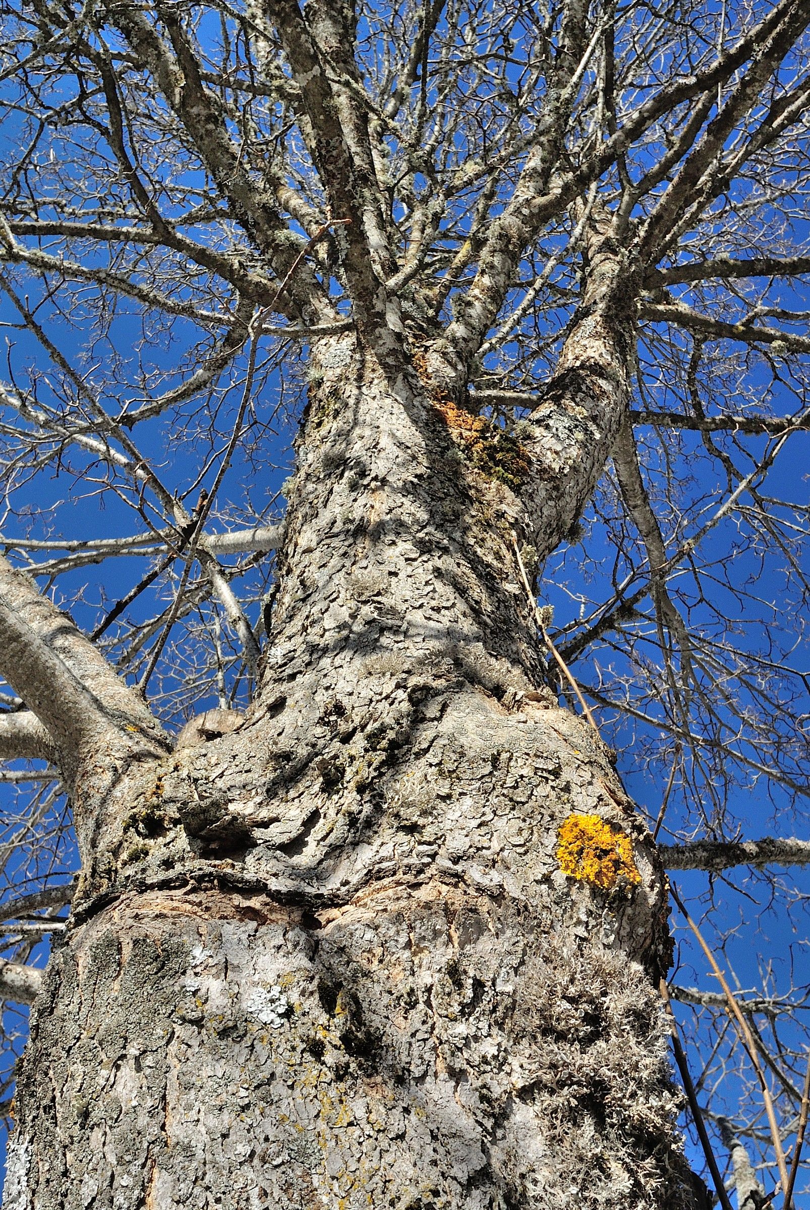 Towards the blue ...