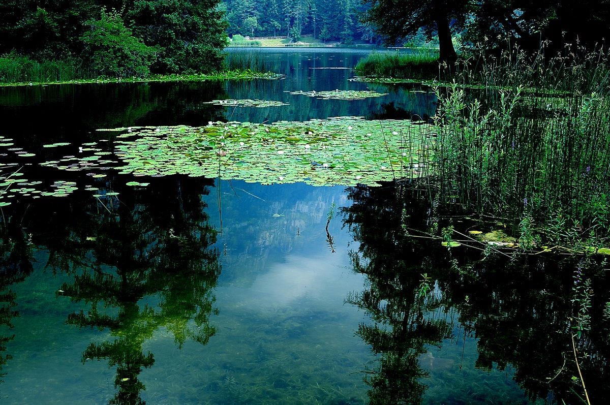 riflessi nel lago diCei
