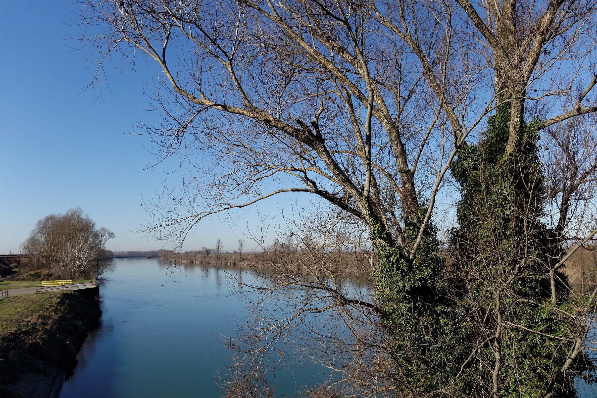 Fiume Adige, dove nasce l'Adigetto