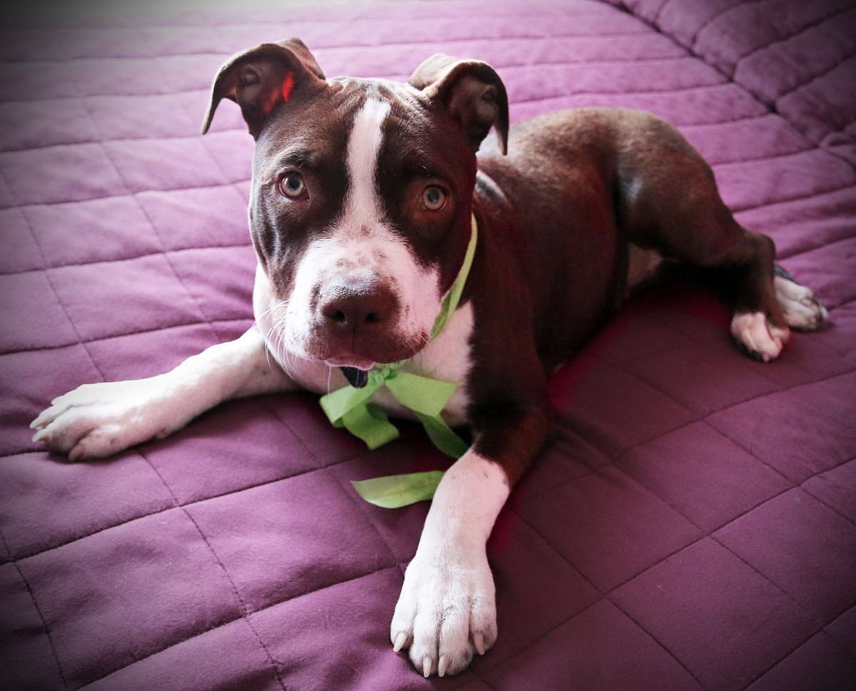 Deianira!! Sul letto NO! ; )