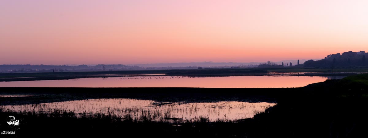 Tramonto Palustre