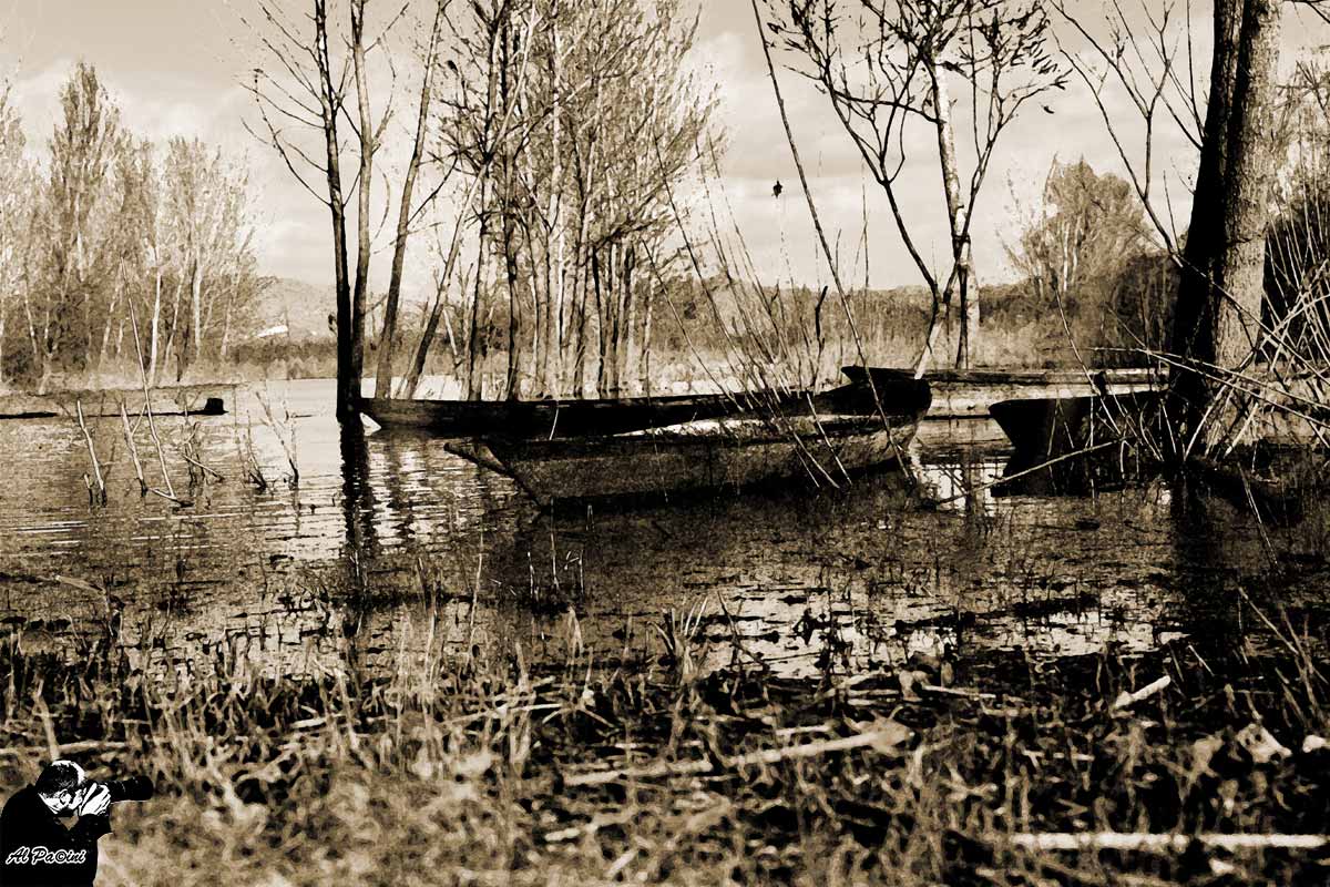 Barchini -Massarella-