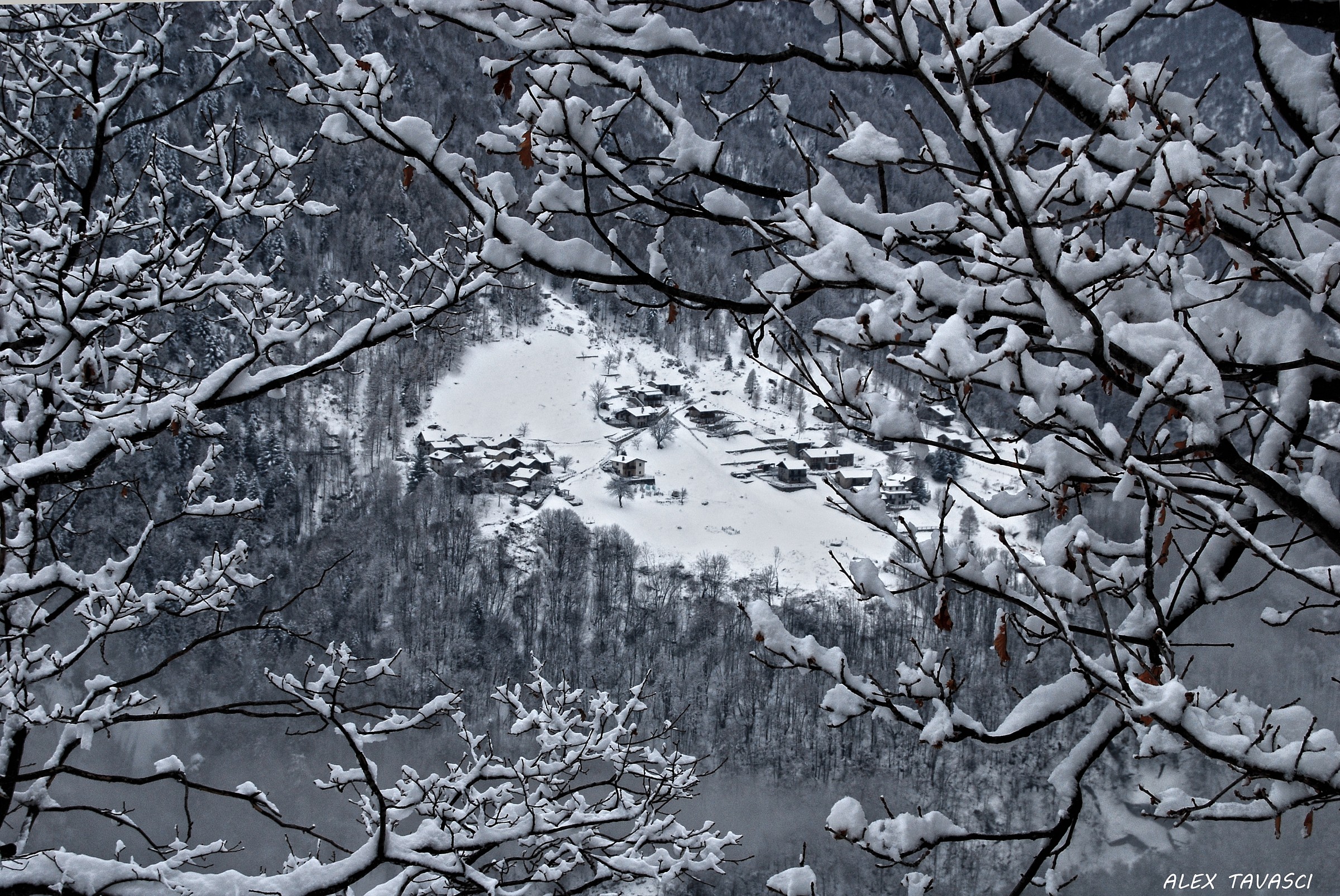 L'isolazione dell'Inverno.