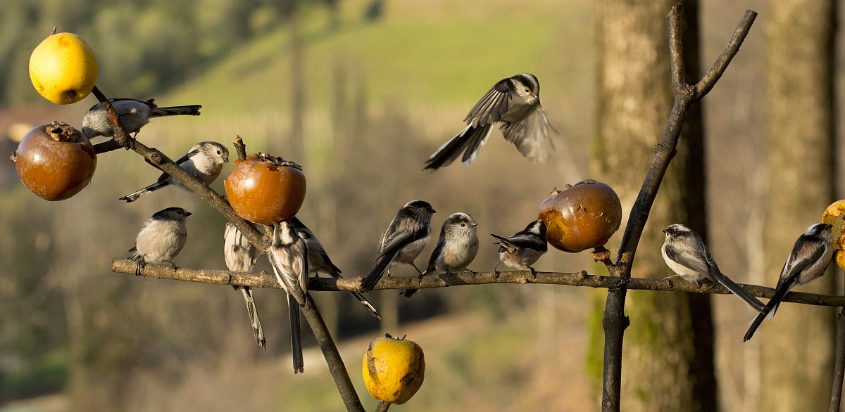 scenes of life and hunger